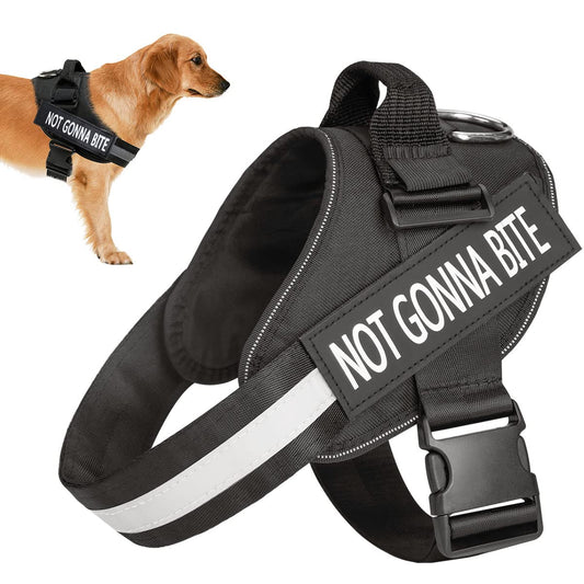 Maxxlite Dog Harness for Large Dogs,Adjustable Body Belt for Dogs,with Copybook Dog Vest (L, Black)